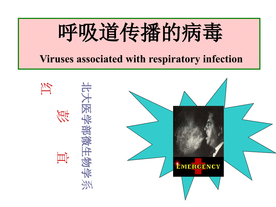 消化、疱疹、汉坦、狂犬_第1页