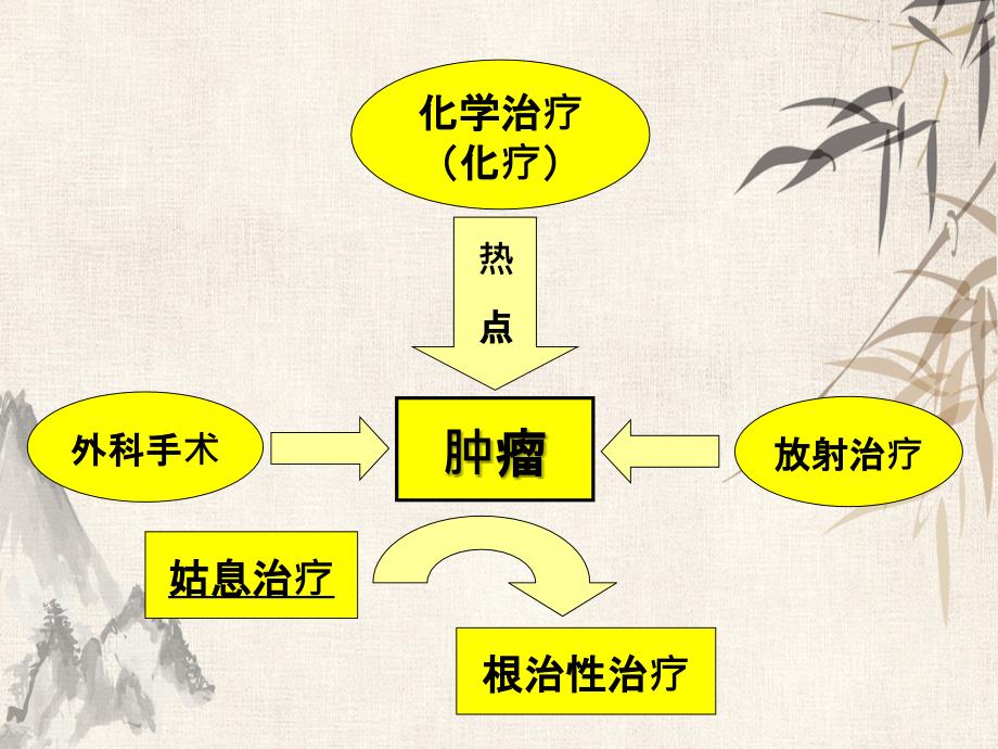 抗肿瘤药物的毒性反应_第1页