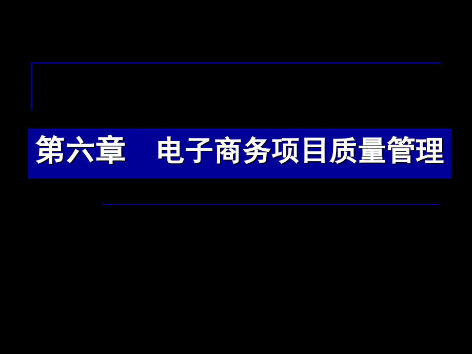 电子商务项目质量管理概述_第1页