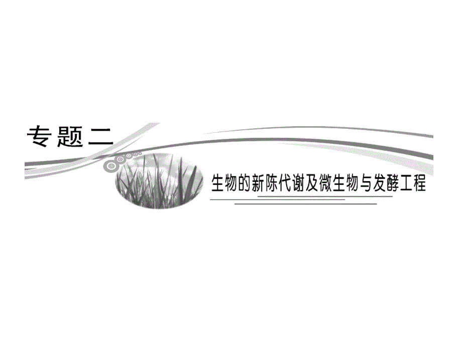 新陈代谢酶和ATP_第1页