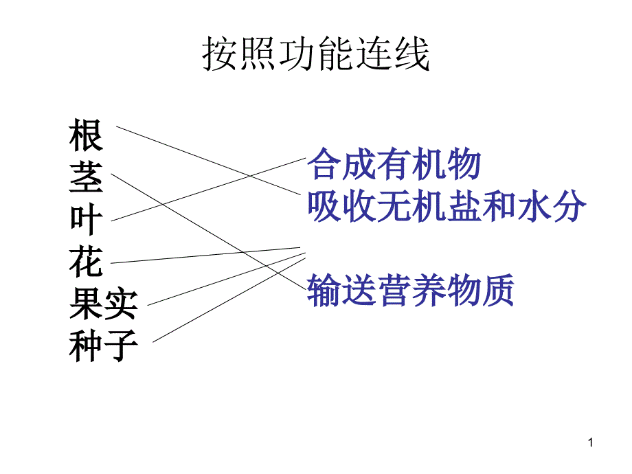 根的形态结构和生理_第1页