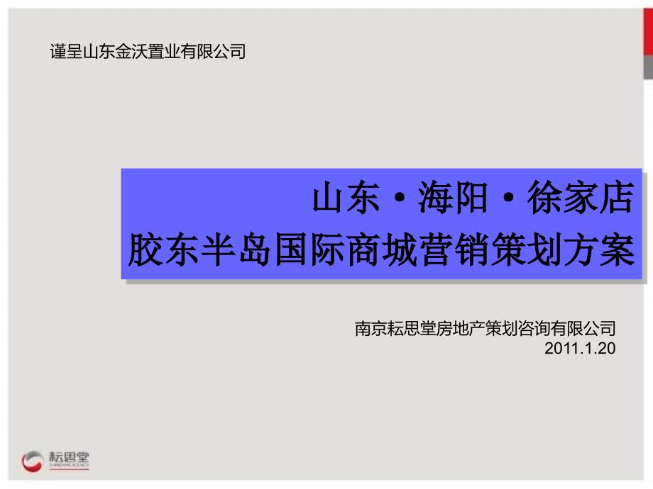 徐家店胶东半岛国际商城营销策划方案_第1页