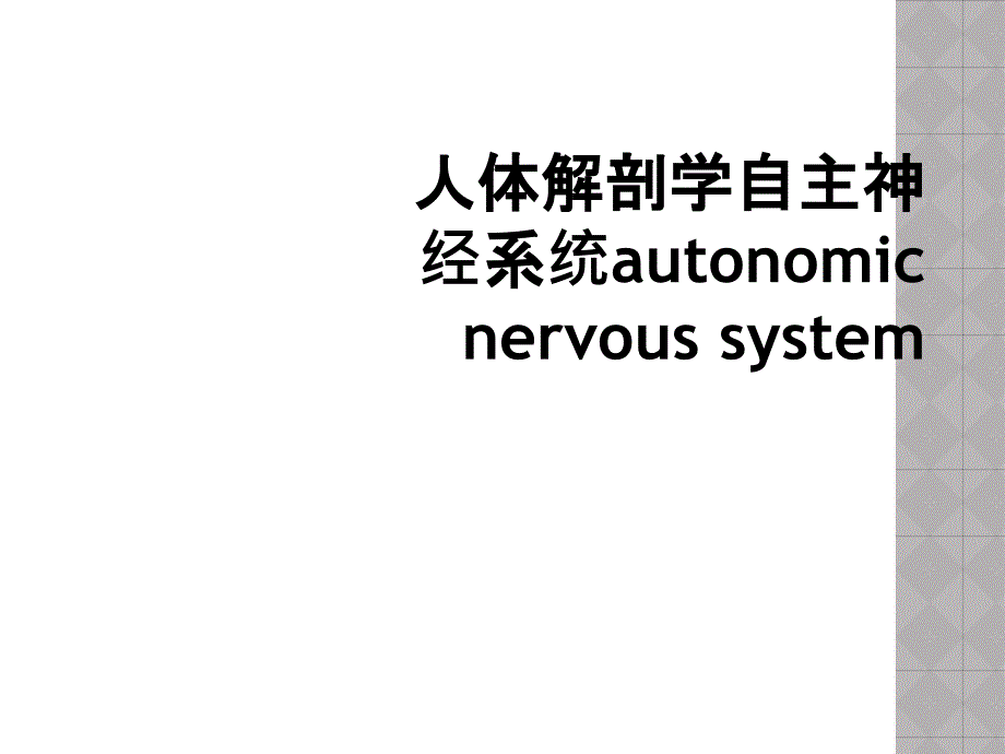 人体解剖学自主神经系统autonomic nervous system_第1页