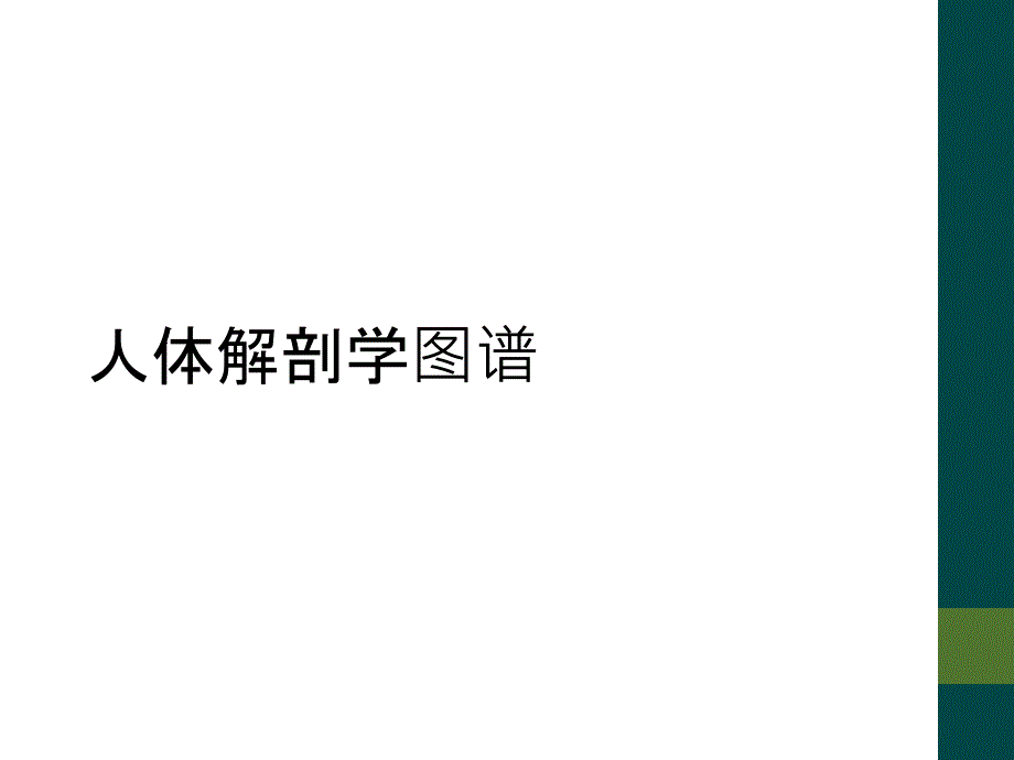 人体解剖学图谱_第1页