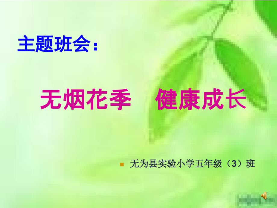 无烟花季健康成长主题班会_第1页