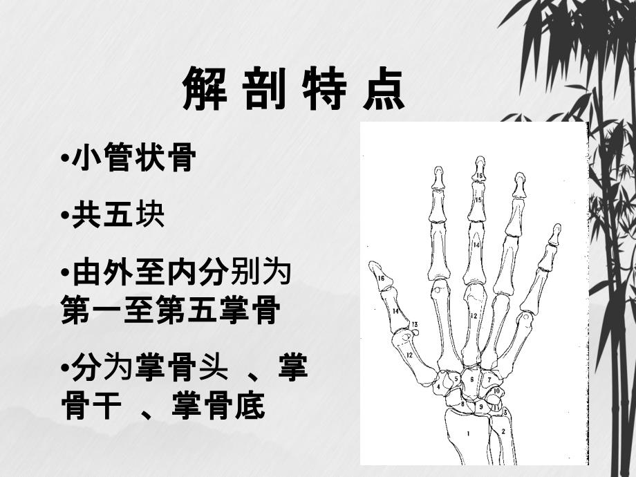 掌骨骨折内固定技术_第1页