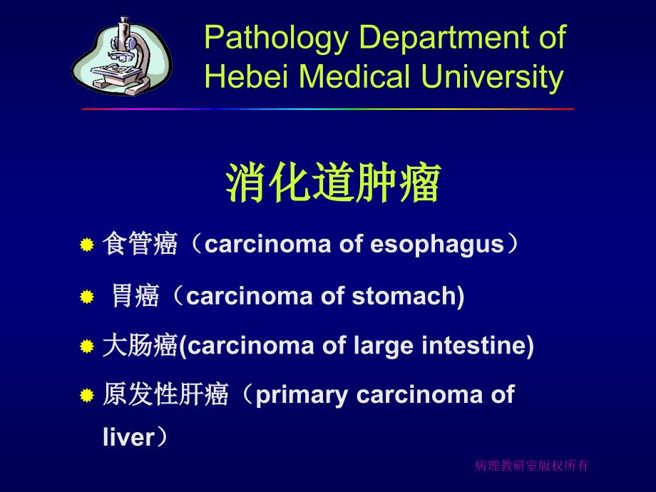 消化系统常见肿瘤_第1页