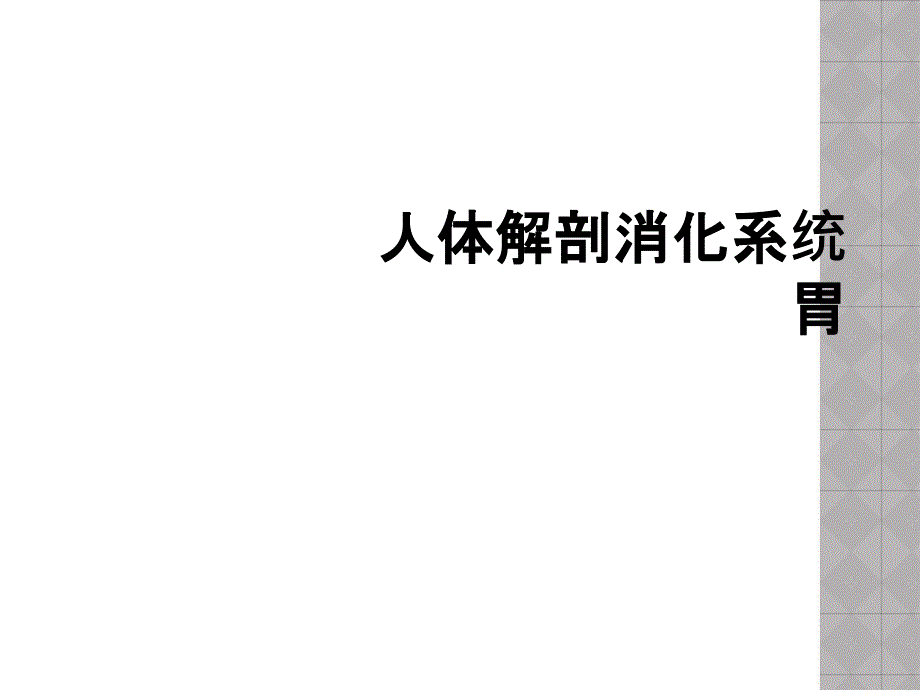 人体解剖消化系统 胃_第1页