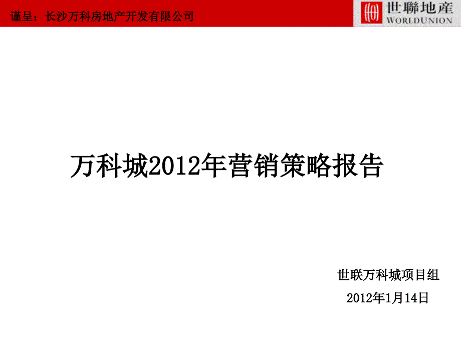 某房地产营销策略报告_第1页