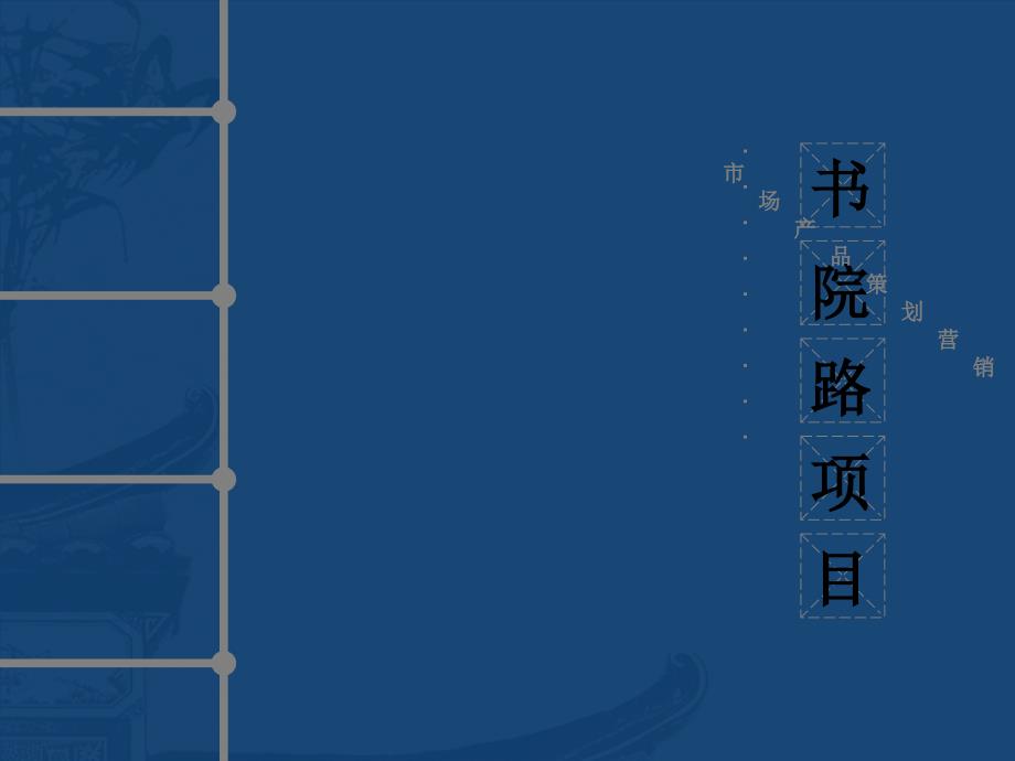 新野书院路项目营销策划报告(最终版)_第1页