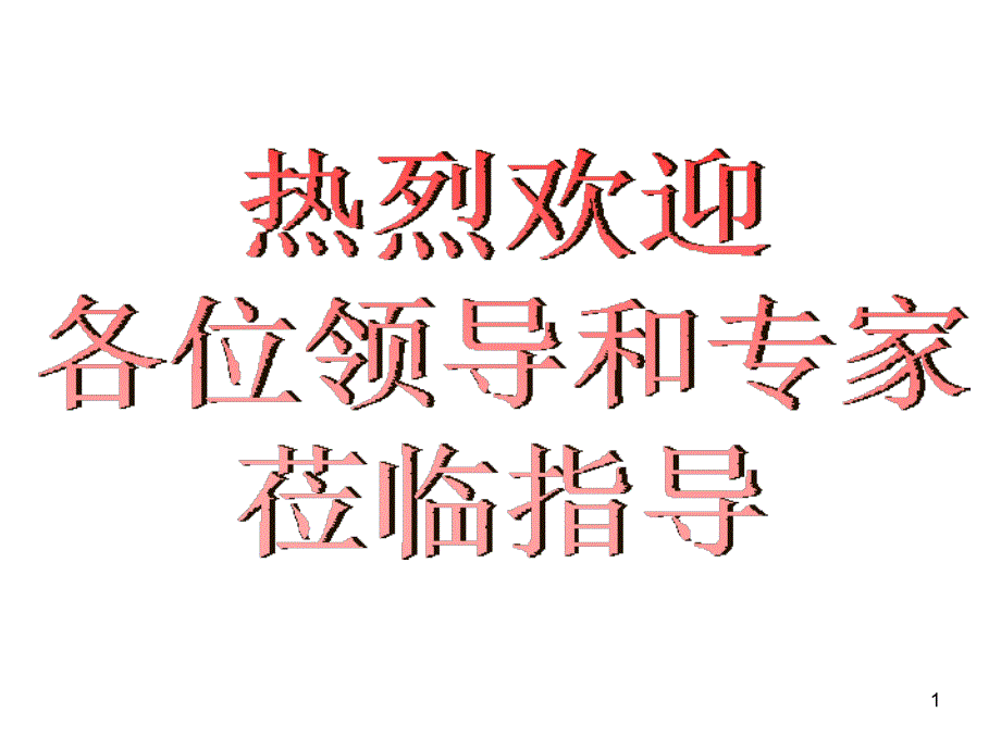 潘总换乘通道相交处方案汇报_第1页