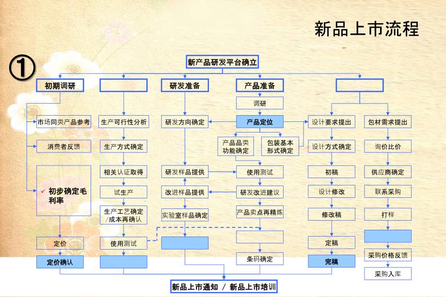 新品上市推广流程与方案_第1页