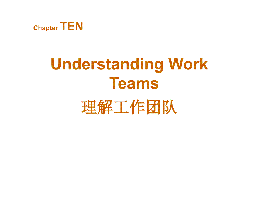 《组织行为学》课件 理解工作团队_第1页