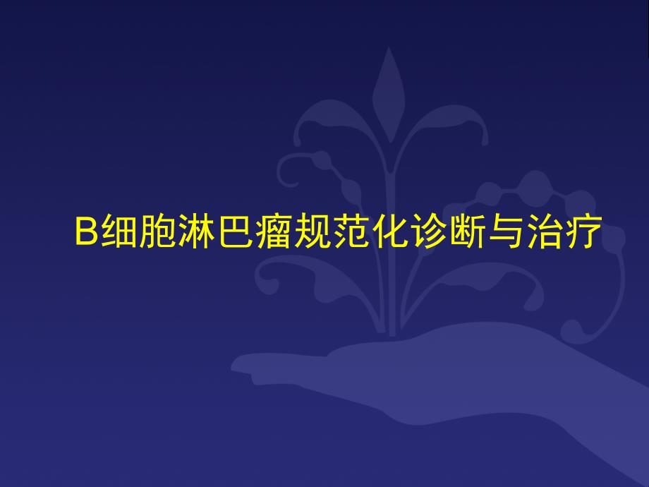 b细胞淋巴瘤诊疗规范 课件_第1页