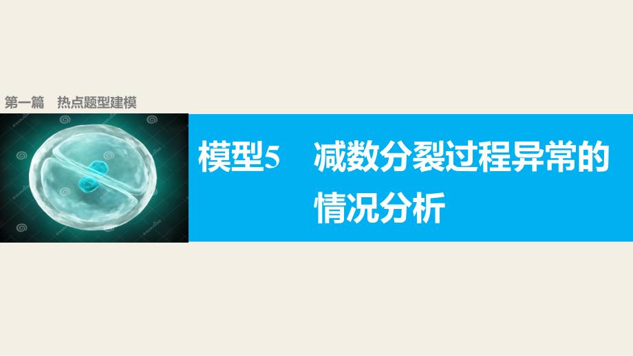 模型5 减数分裂过程异常的分析_第1页