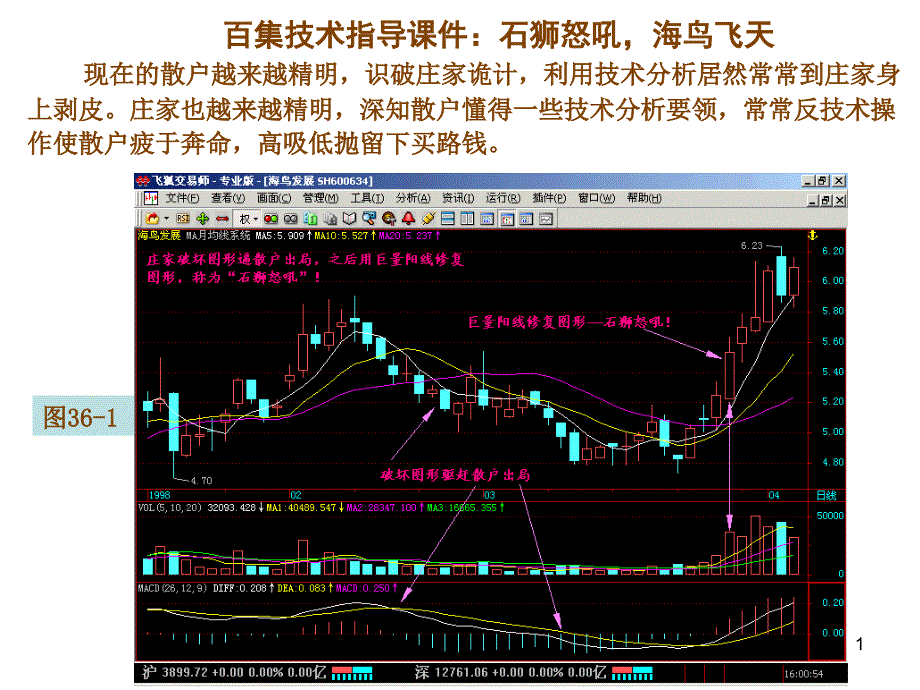 005百集技术指导之五：石狮怒吼,海鸟飞天_第1页