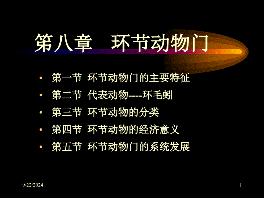 环节动物门教学课件_第1页