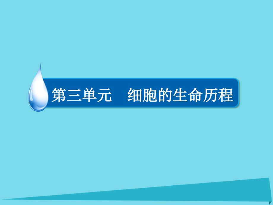 2017高考生物一轮复习 第三单元 细胞的生命历程 专题8 细胞的分化、衰老、凋亡和癌变 考点1 细胞的分化与全能性课件_第1页