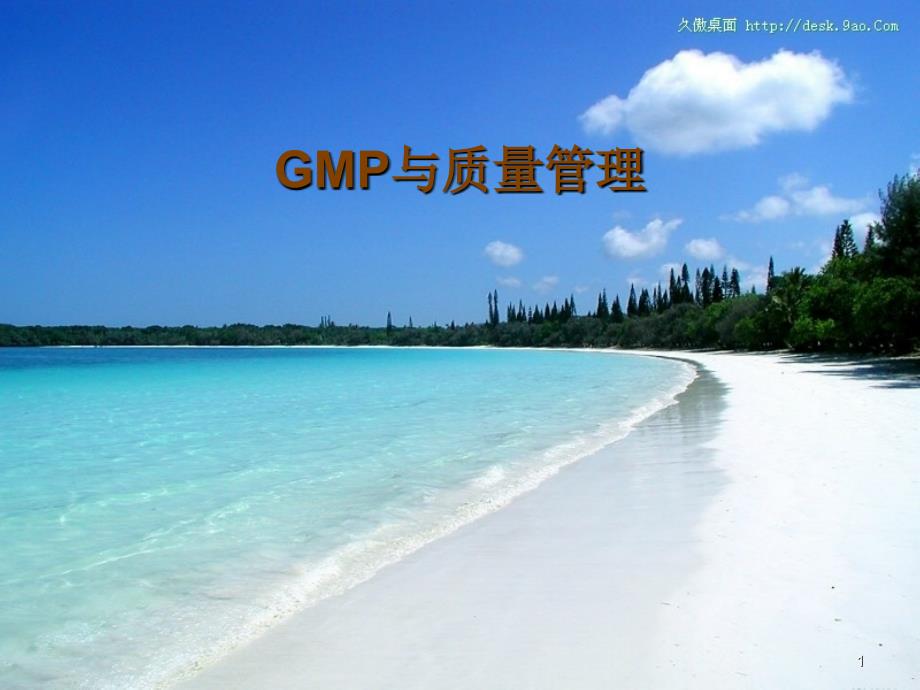 GMP常用术语(WHO)_第1页