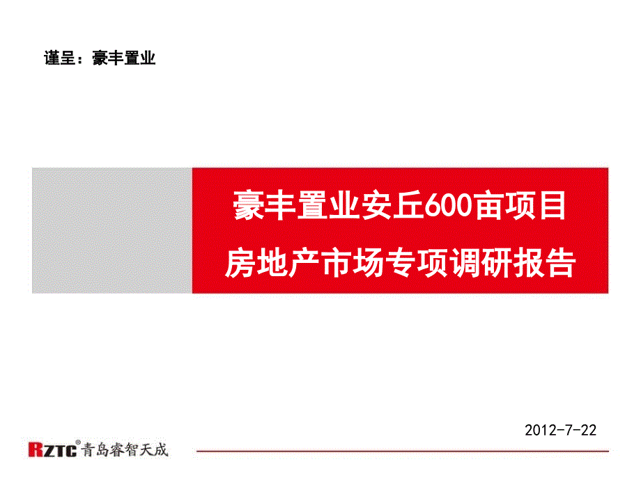 项目房地产市场专项调研报告_第1页