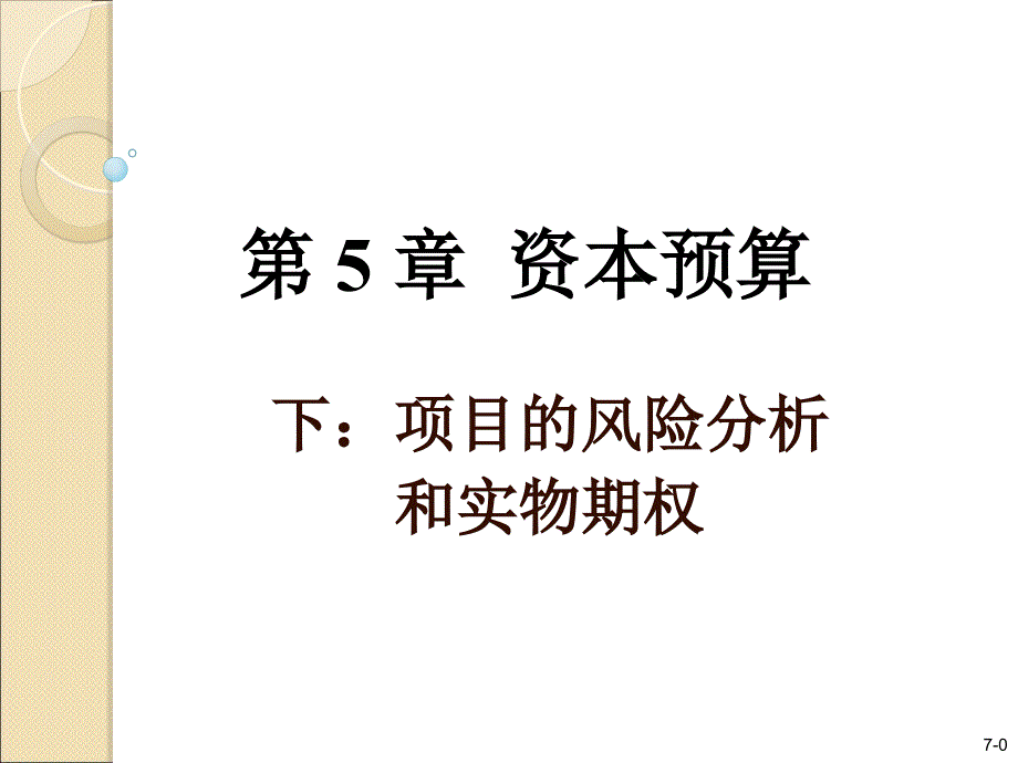 项目的风险分析和实物期权_第1页