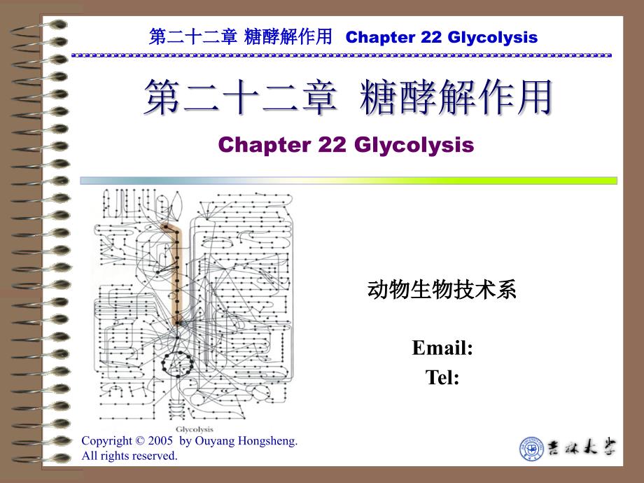 欧阳红生动物生物技术系吉林大学畜牧兽医学院Email_第1页