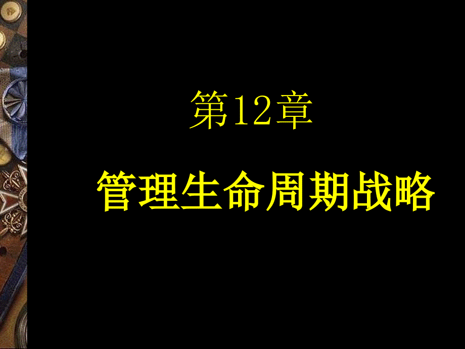 管理生命周期战略讲义课件_第1页