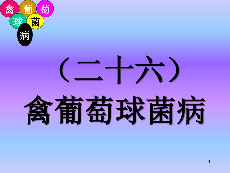 禽病学禽病临床诊断彩色图谱26禽葡萄球菌病西南民族大学_第1页