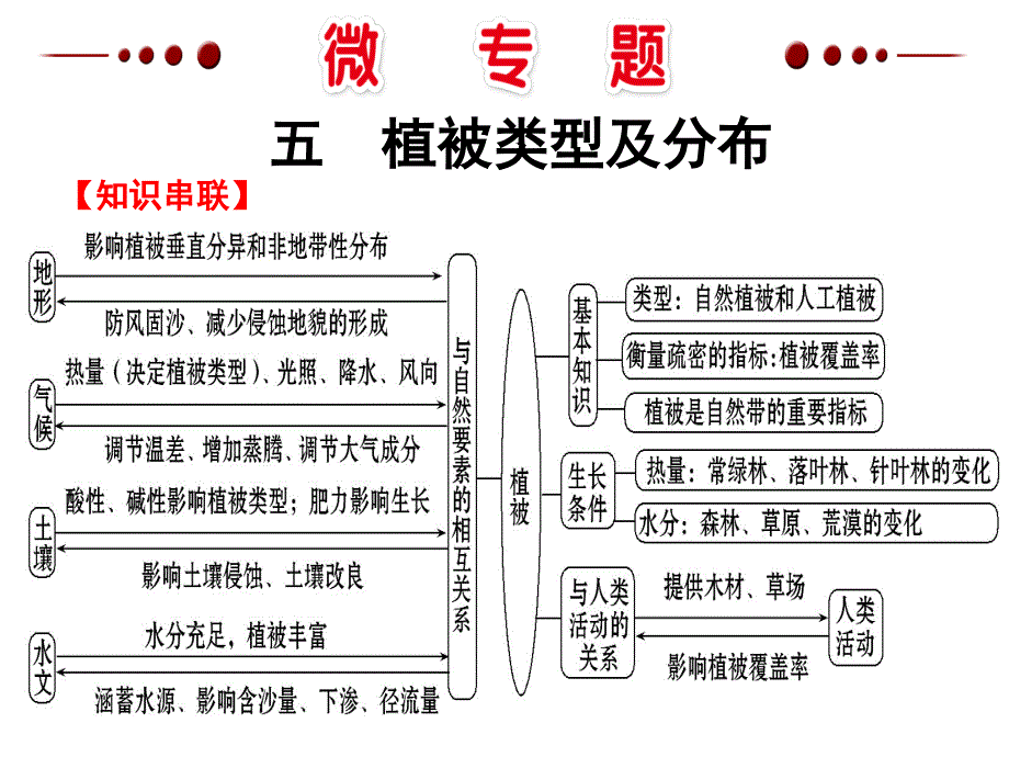 植被类型及分布_第1页