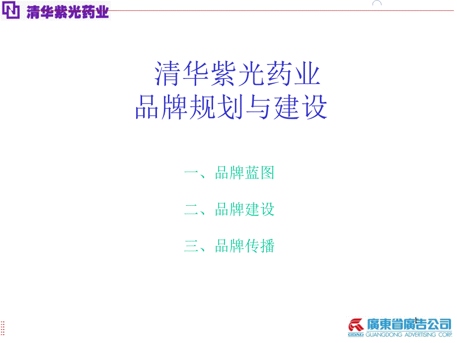 清华紫光药业品牌规划与建设_第1页