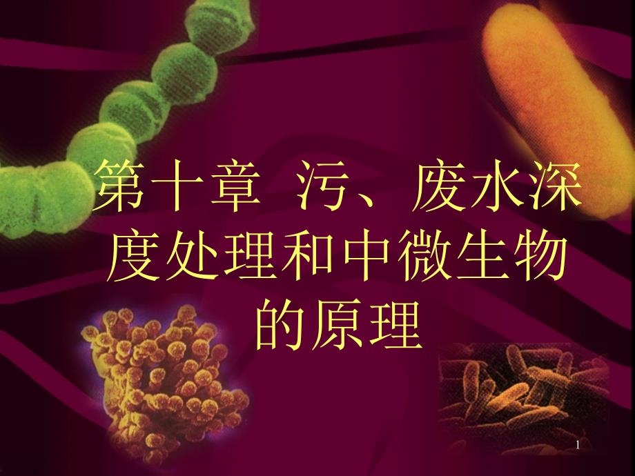 污废水深度处理和微生物的原理_第1页