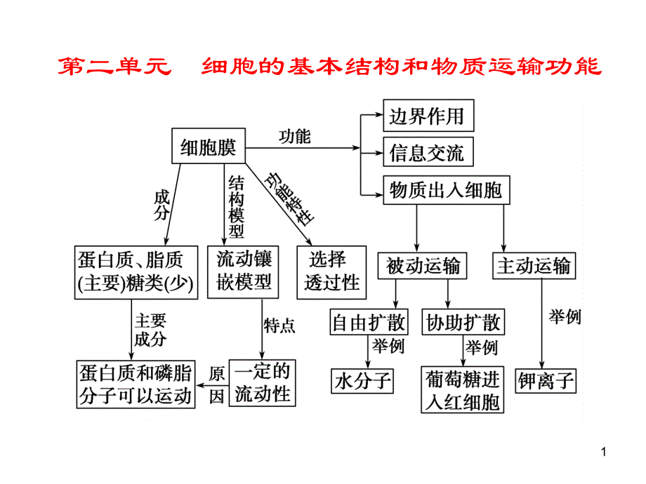 第5课时细胞膜,细胞核,物质跨膜运输_第1页