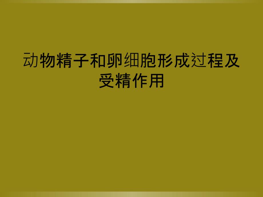 动物精子和卵细胞形成过程及受精作用_第1页