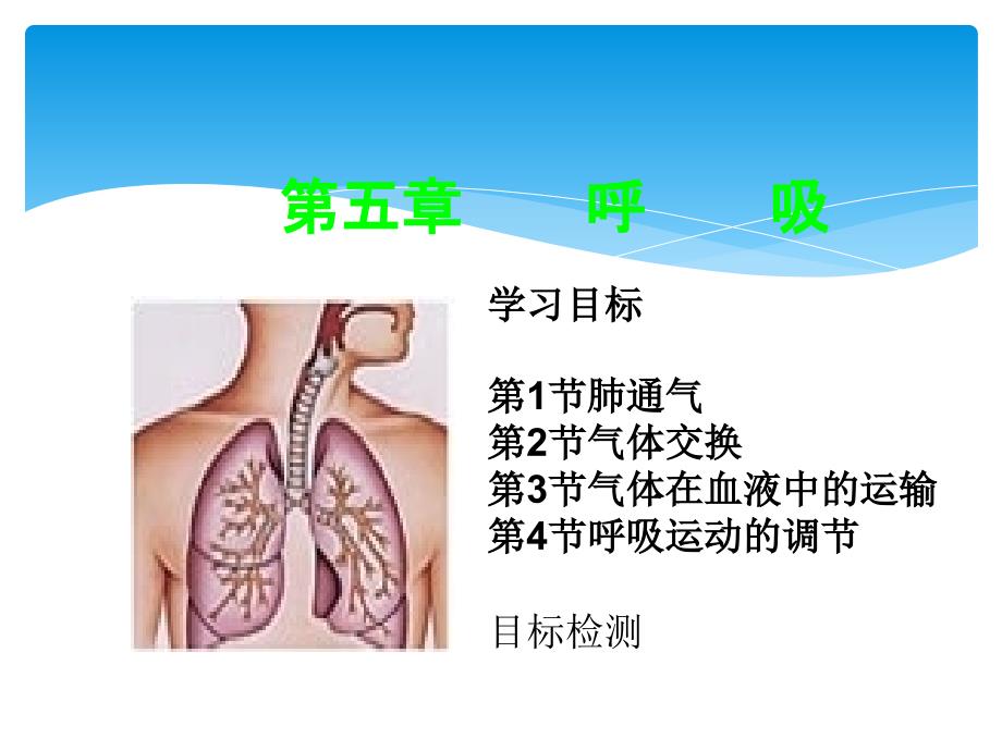 生理学课件 第五章 呼吸_第1页