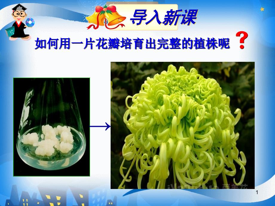 植物细胞工程的基本技术_第1页