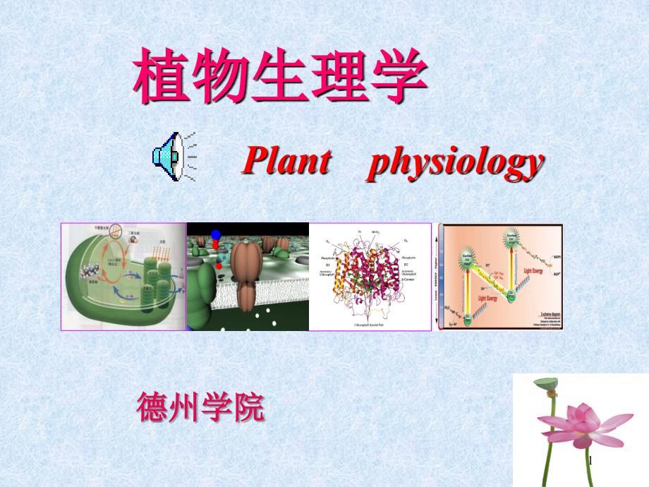 植物生理学之成花_第1页