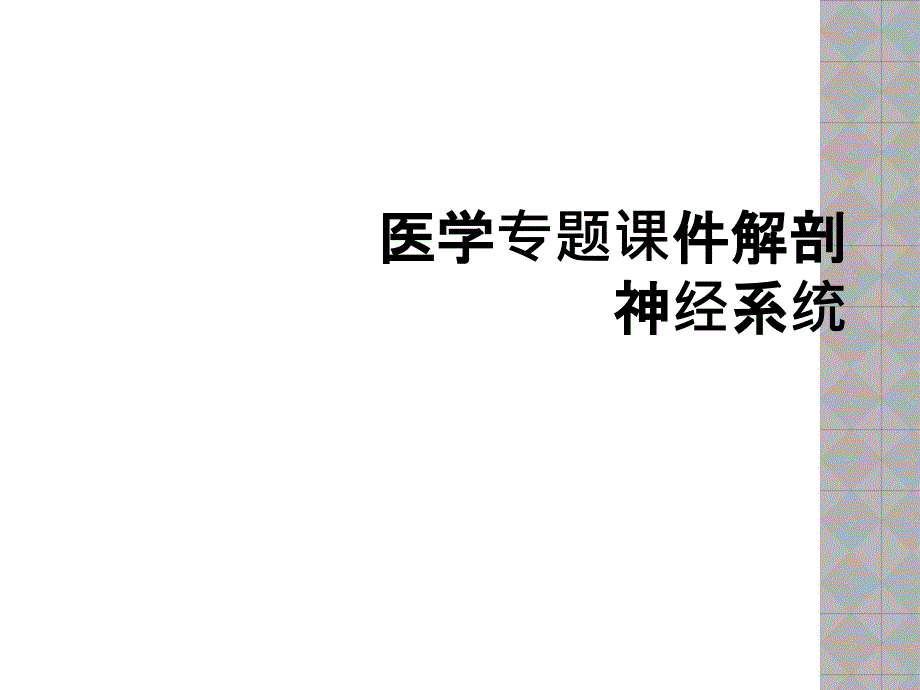 医学专题课件解剖神经系统_第1页