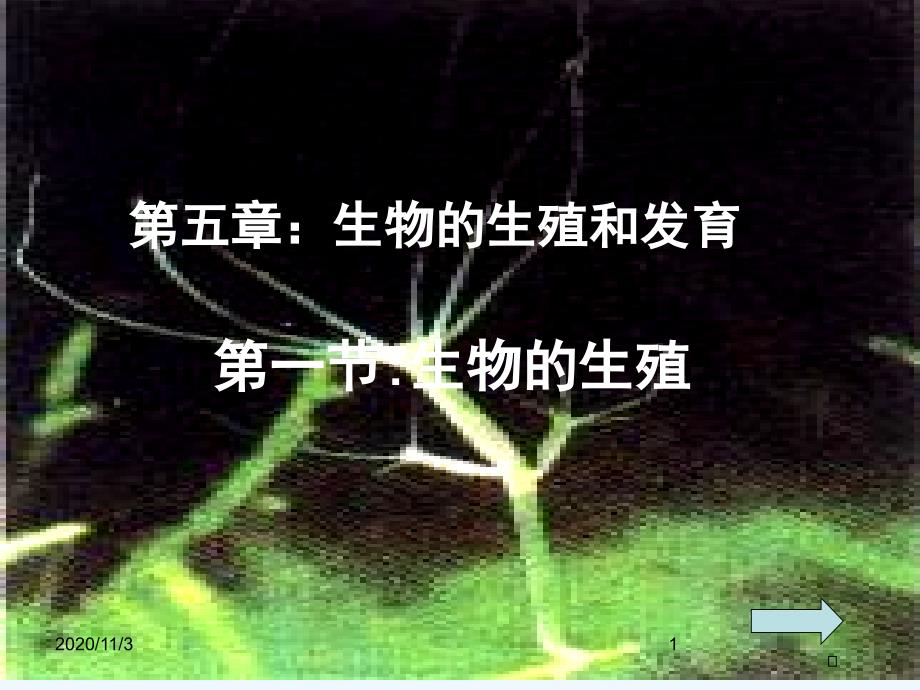 生物的生殖和发育_第1页