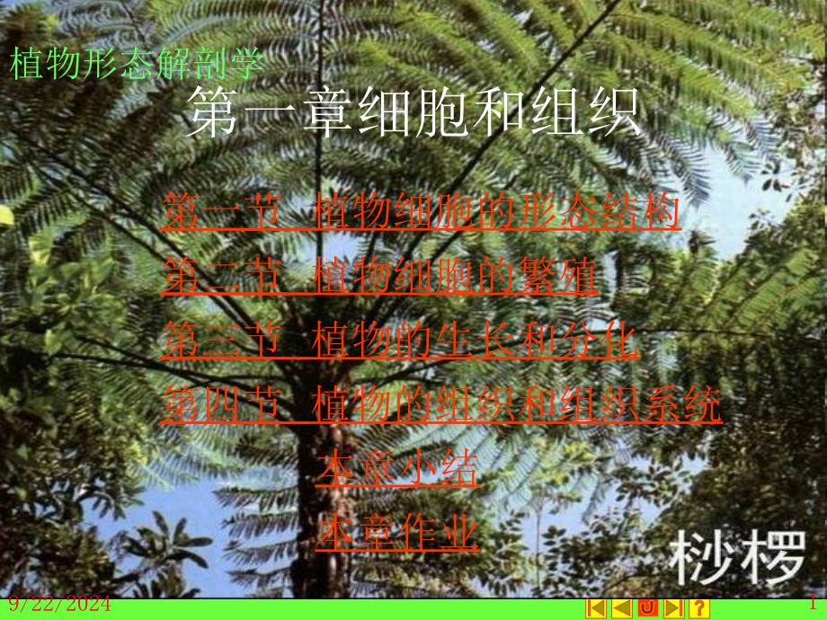 植物形态解剖学_第1页