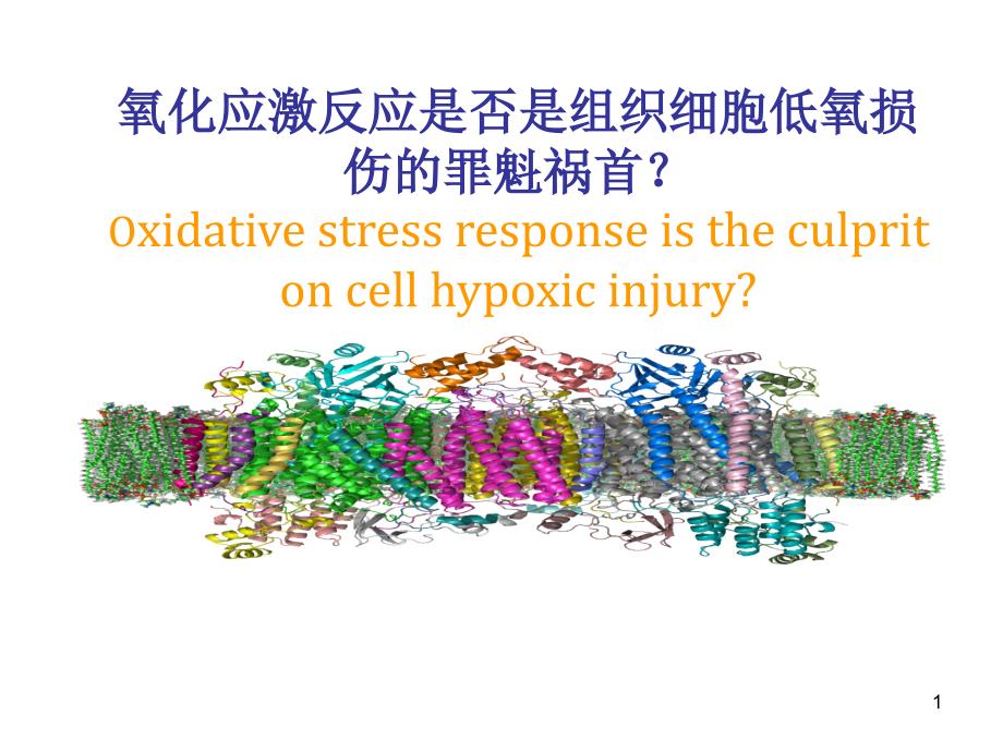 氧化应激反应是否是机体组织细胞低氧损伤的罪魁祸首_第1页