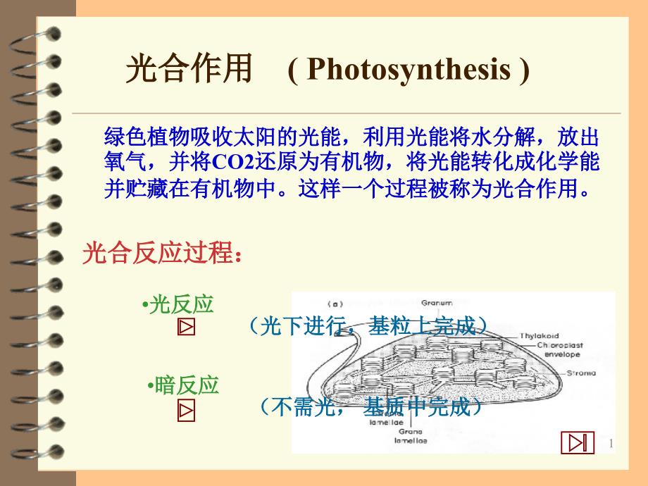 植物生理学呼吸作用_第1页