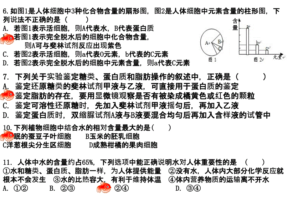 生命活动的主要承担者-蛋白质--朱_第1页