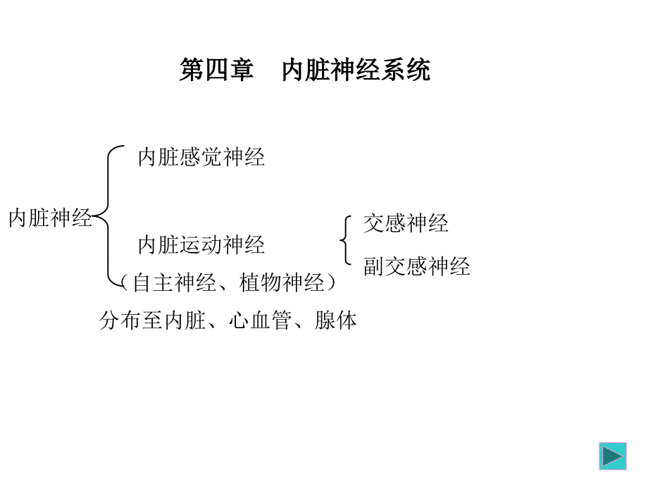 神经内科植物神经_第1页