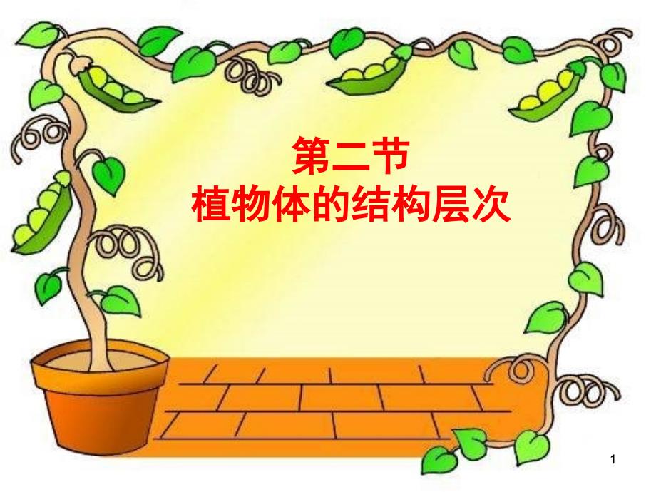 植物结构层次_第1页