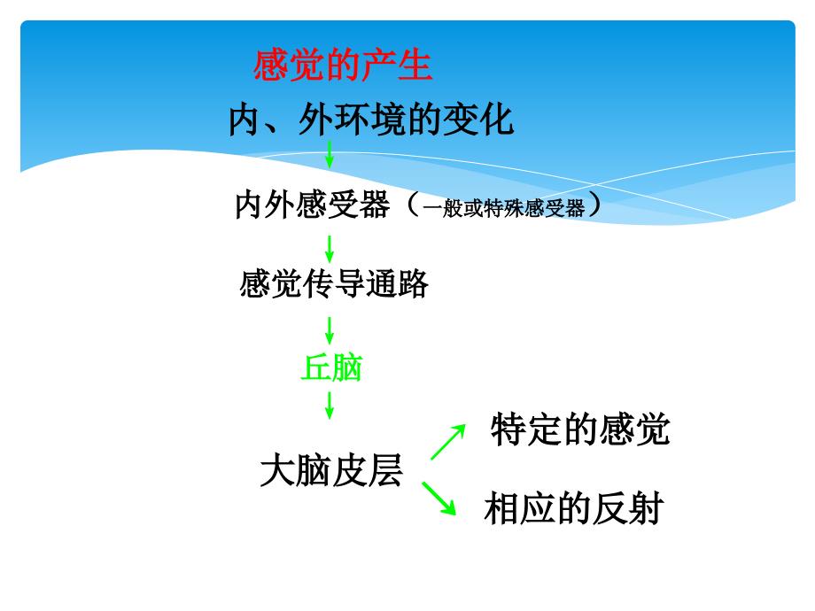 生理学杨莉神经系统功能ppt课件文档资料_第1页