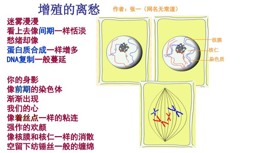 生物抒情诗增殖的离愁_第1页