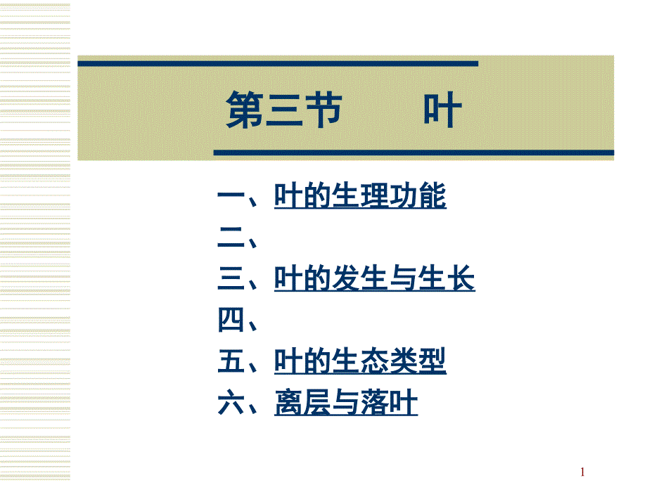 植物营养器官_第1页