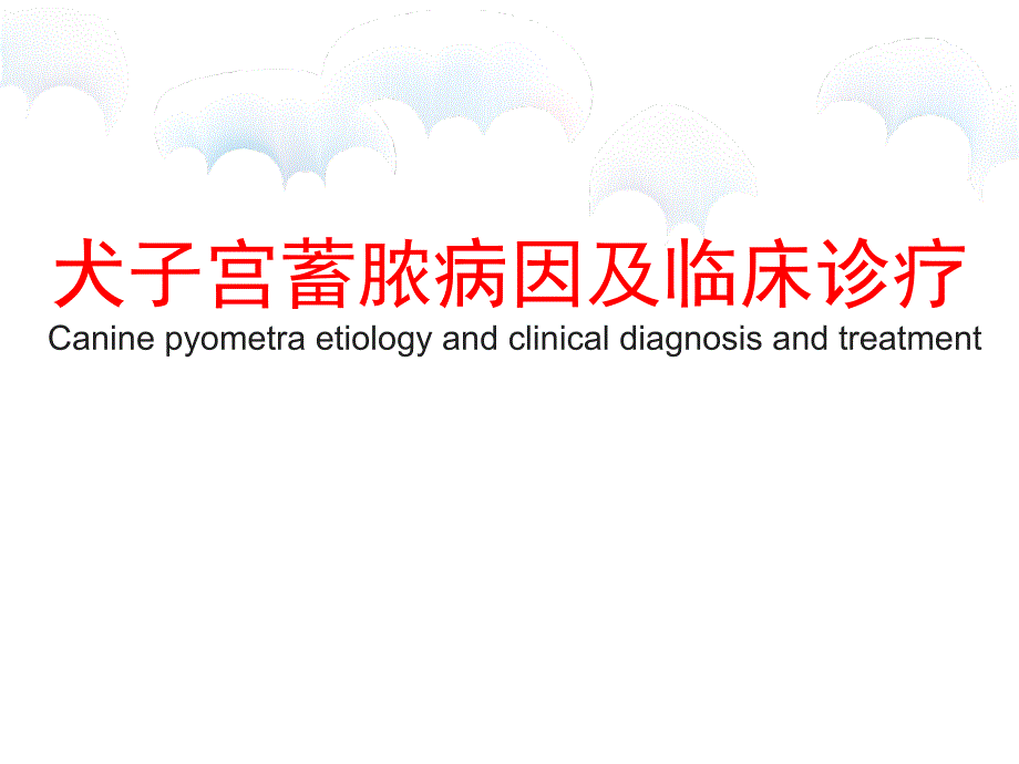 犬子宫蓄脓病因及临床诊疗_第1页