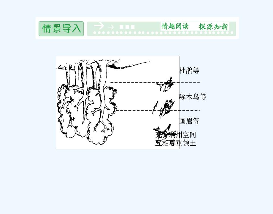 生物必修人教新课标生长素的生理作用课件_第1页