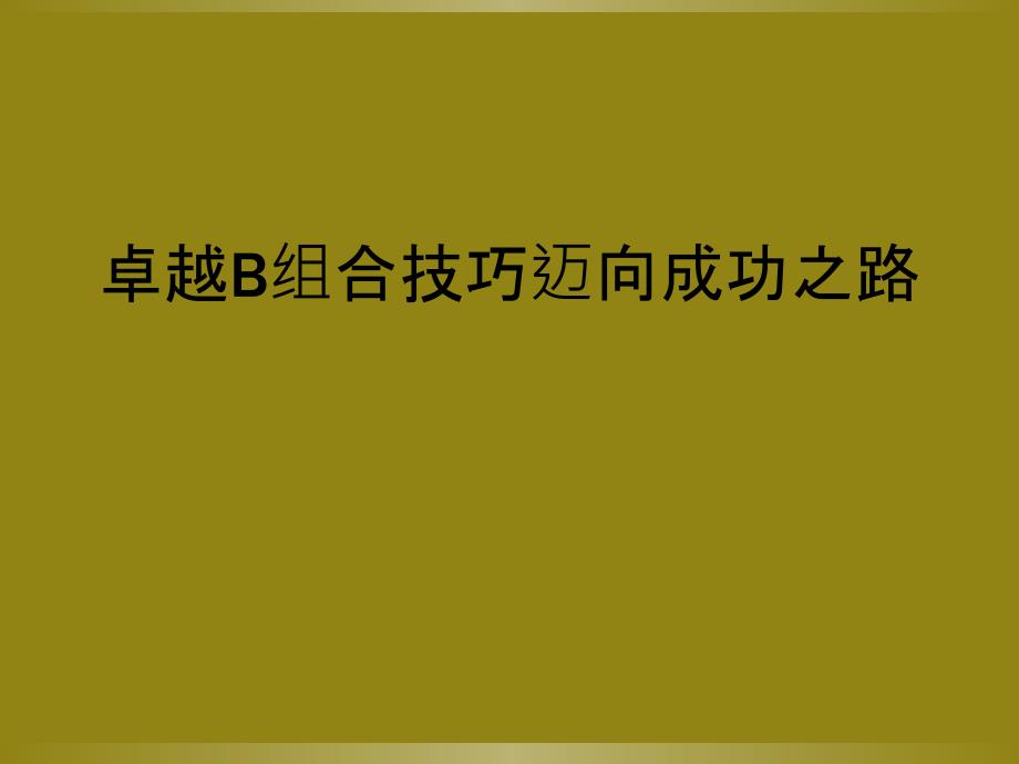 卓越B组合技巧迈向成功之路_第1页